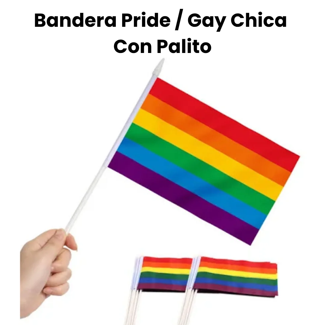 BANDERA CHICA PRIDE/GAY CON PALO DE PLASTICO