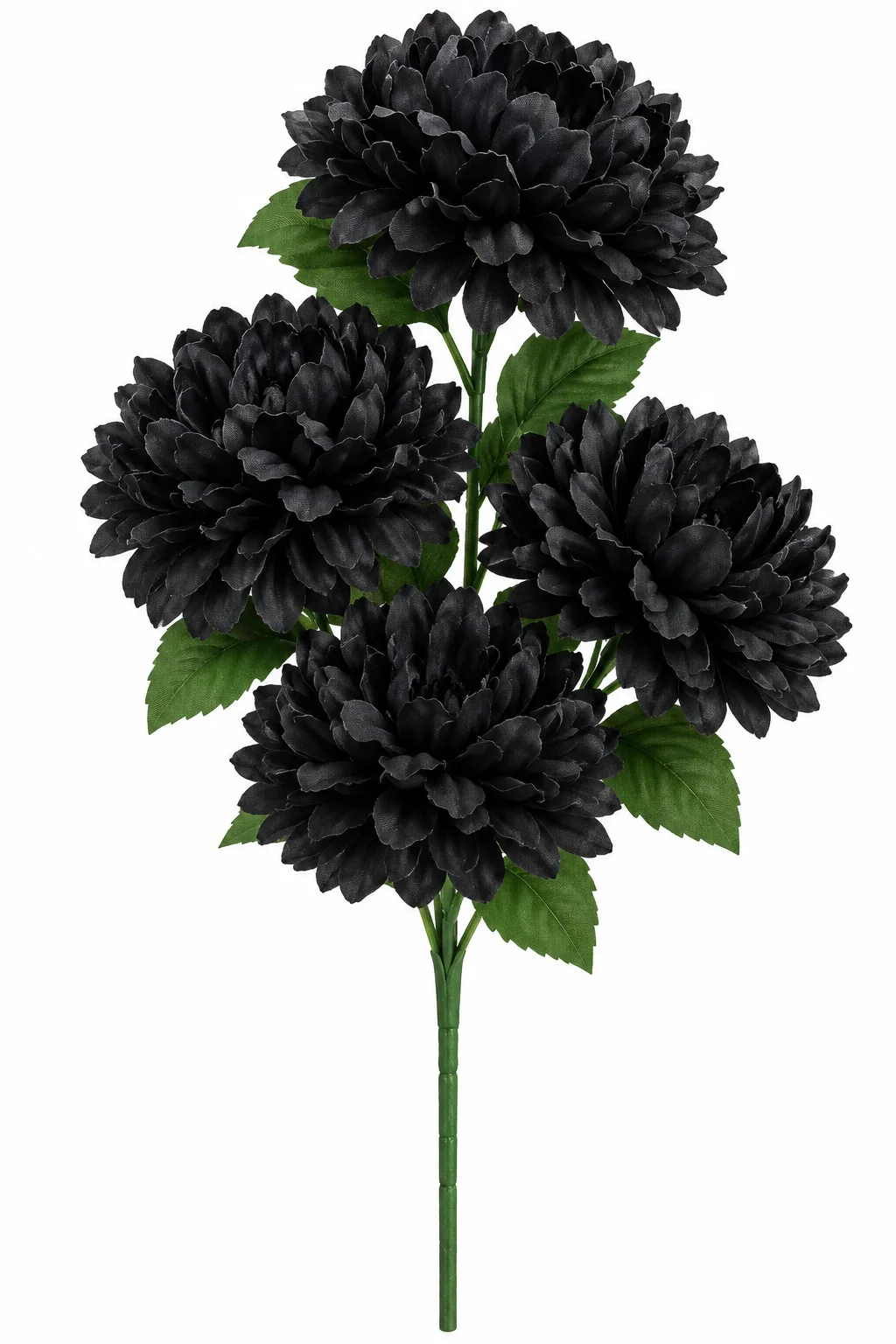 NEGRO