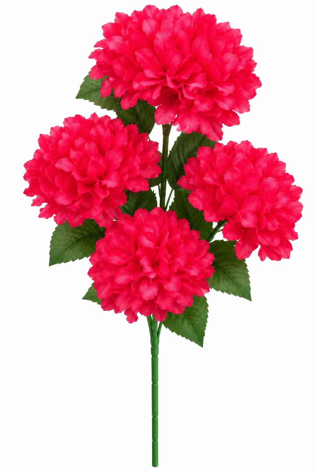 FUCSIA
