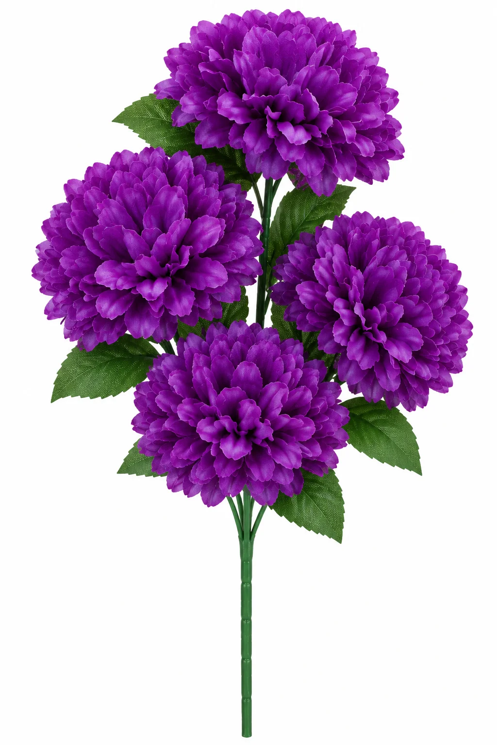 MORADO